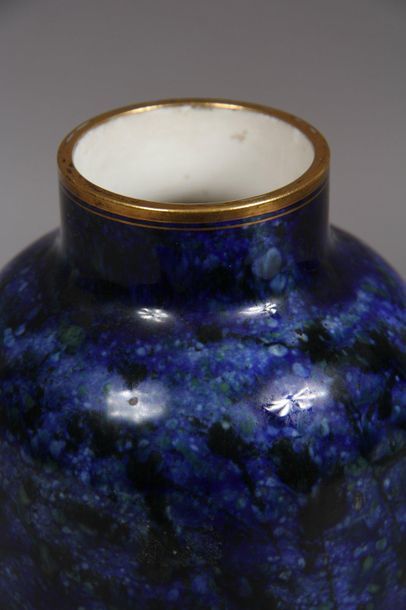 SEVRES (hard porcelain) Piriform
vase with...