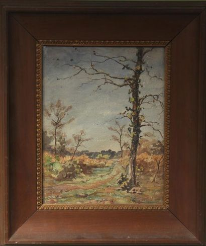 Louis VERDIE (XIX-XXème s.)
L'arbre
Aquarelle...