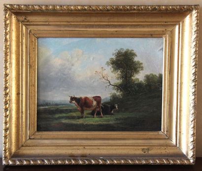 Ecole du XIXème s.
Deux vaches dans un pré
Huile...