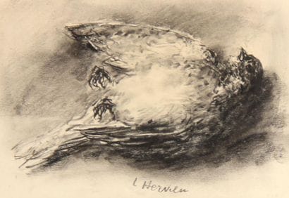 Louise HERVIEU (1878-1954)
Nature-morte à...