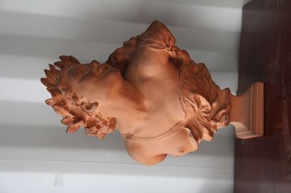 CARPEAUX d'après

Buste de Flore

Sculpture...
