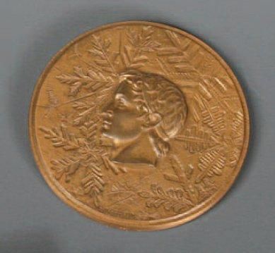 Grenoble,1968
Médaille officielle des participants....