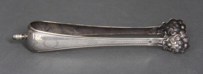 Pince à sucre pattes de lion en argent 800°/°°...