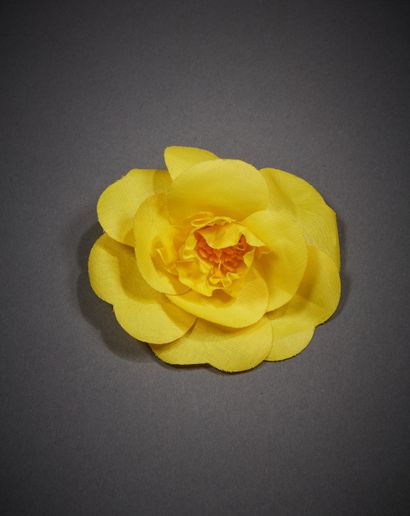 CHANEL

Broche 