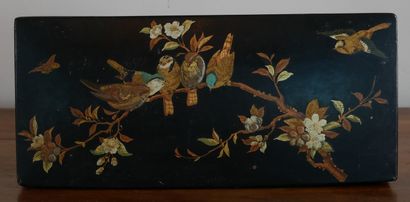 Lot :

- Ramasse-miettes et petit plateau...