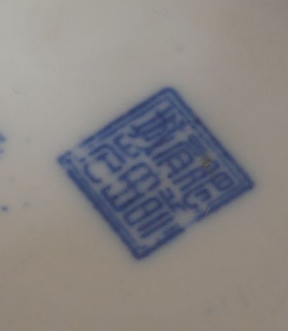 Paire de coupes sur talon en porcelaine blanc-bleu...