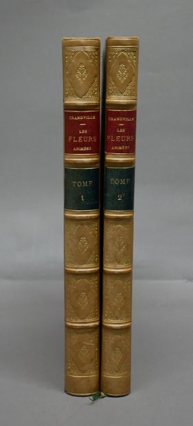 J. J. GRANDVILLE. 

The animated flowers.

Introduction...