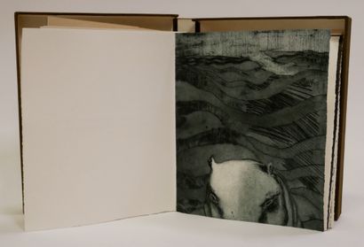 SOLVEIG. 

Journey.

Ten aquatints by Holley...