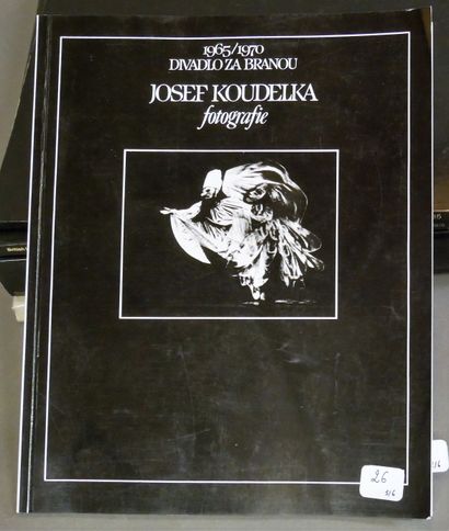 JOSEF KOUDELKA

Camargue, Éditions Actes...