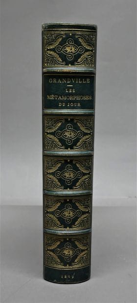 J. J. GRANDVILLE. 

The Metamorphoses of...