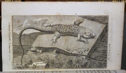 BUFFON

- Natural History translated into...