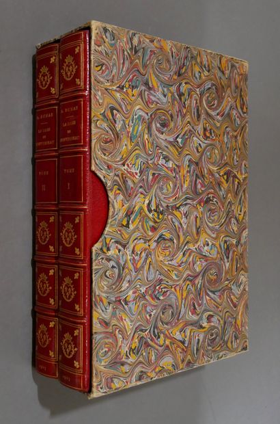 ALEXANDRE DUMAS. 

The lady of Montsoreau.

Drawings...