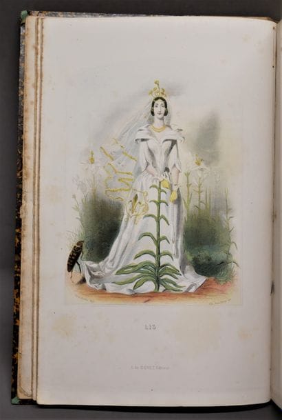 J. J. GRANDVILLE. 

The animated flowers.

Introduction...
