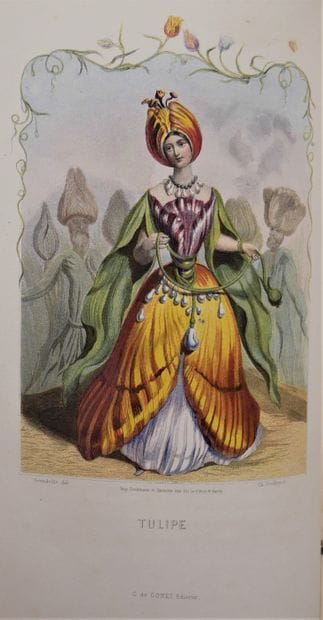 J. J. GRANDVILLE. 

The animated flowers.

Introduction...