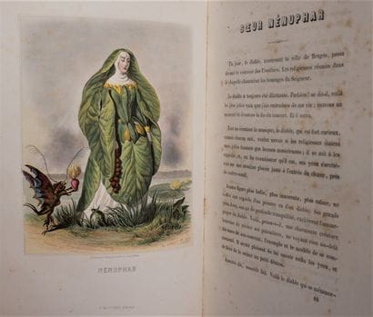 J. J. GRANDVILLE. 

The animated flowers.

Introduction...