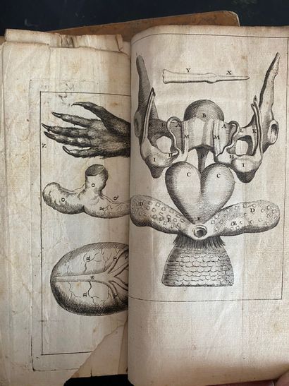 Books of the XVIIIth c.

- Abbé BOSSUT Cours...
