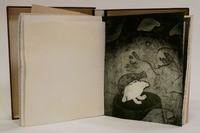 SOLVEIG. 

Journey.

Ten aquatints by Holley...