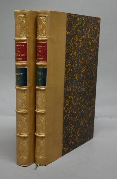 J. J. GRANDVILLE. 

The animated flowers.

Introduction...