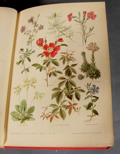 LECLERC DU SABLON. 

Our flowers. Useful...