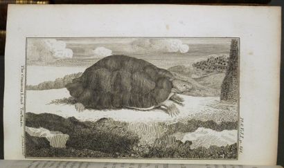 BUFFON

- Natural History translated into...