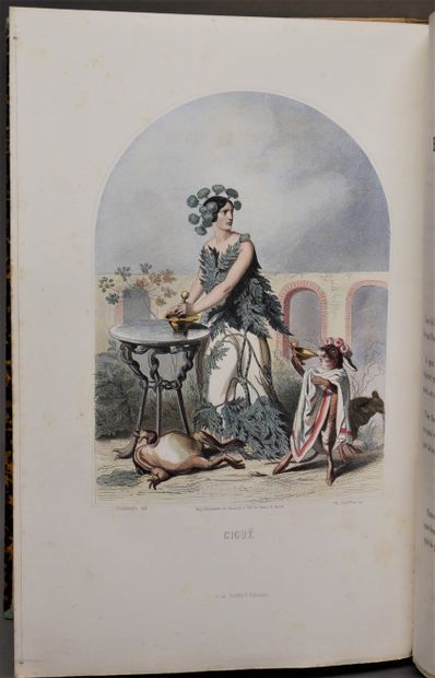 J. J. GRANDVILLE. 

The animated flowers.

Introduction...