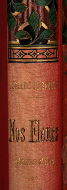 LECLERC DU SABLON. 

Our flowers. Useful...