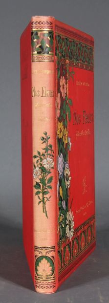LECLERC DU SABLON. 

Our flowers. Useful...