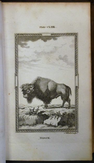 BUFFON

- Natural History translated into...