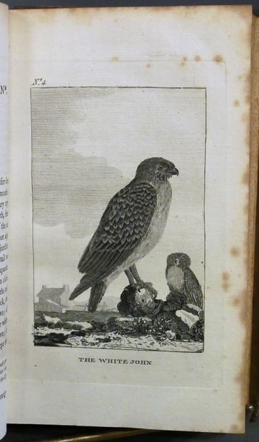 BUFFON

- Natural History translated into...