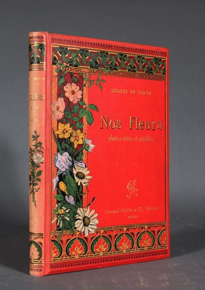 LECLERC DU SABLON. 

Our flowers. Useful...