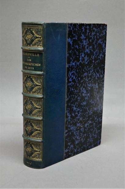 J. J. GRANDVILLE. 

The Metamorphoses of...
