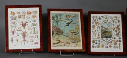 30's style lot:

- Two frames in metal and...