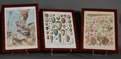 30's style lot:

- Two frames in metal and...