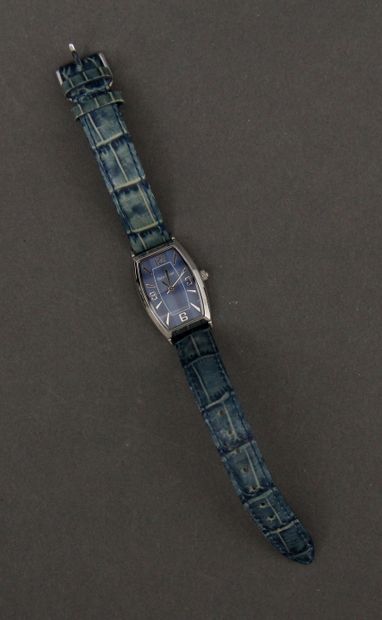Pierre LANNIER

Deux montre de dame en métal...