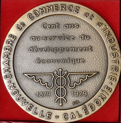 Lot de médailles en bronze et une en argent...