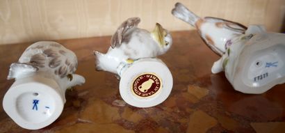 *MEISSEN
Dix sept statuettes en porcelaine...