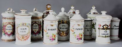 Lot de pots à pharmacie en porcelaine polychrome...