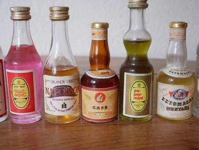 Lot de mignonettes