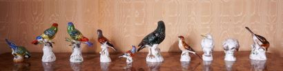 *MEISSEN
Dix sept statuettes en porcelaine...