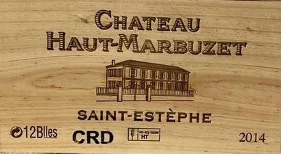12 bouteilles Château HAUT MARBUZET, Saint...