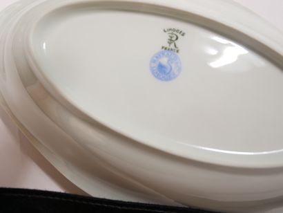 RAYNAUD Cie Limoges 


Service de table en...