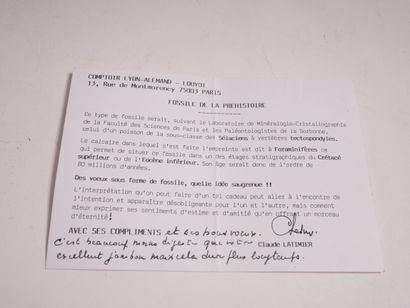 Fossile.


L : 22 cm. (Cassé et recollé)...