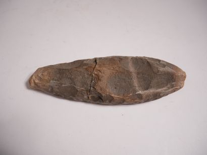 Fossile.


L : 22 cm. (Cassé et recollé)...