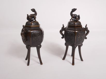 CHINE


Paire de brûle-parfums en bronze...