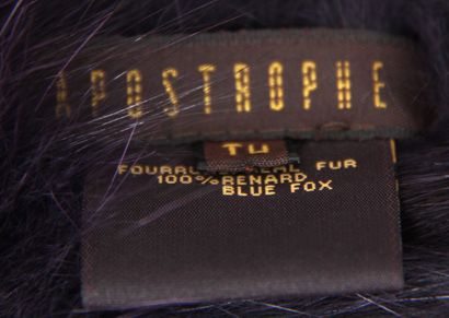 APOSTROPHE
Col en renard bleu