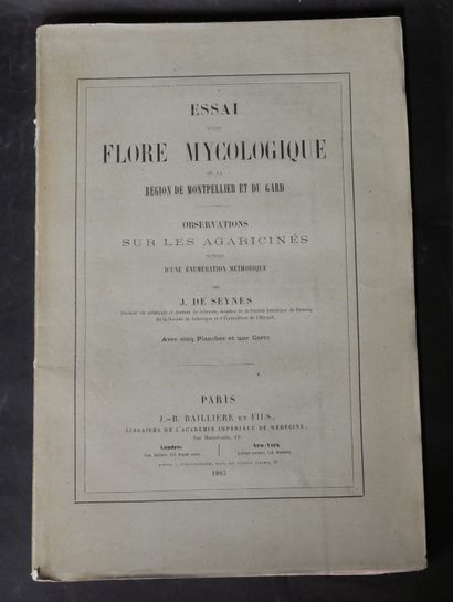 MYCOLOGY
J. de SEYNES.
Recherches pour servir...