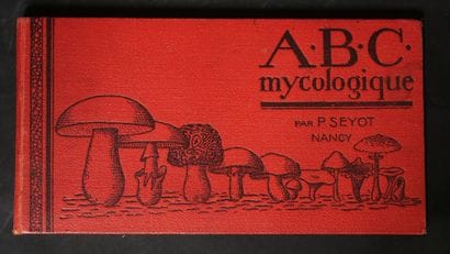 MYCOLOGY
W. G. SMITH. 
Synopsis of British...