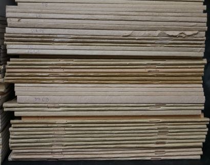 MYCOLOGY
Revues documents mycologiques et...