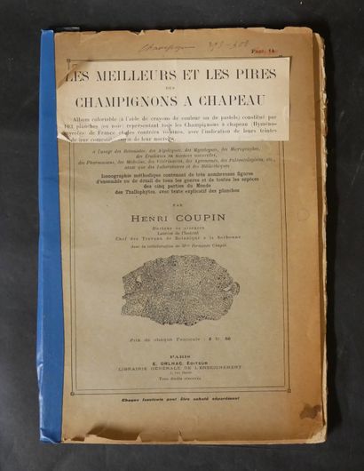 MYCOLOGY
Henri COUPIN 
- General album of...