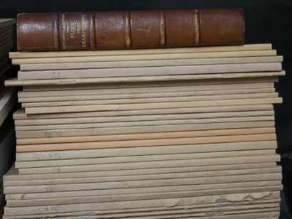 MYCOLOGY
Revues documents mycologiques et...